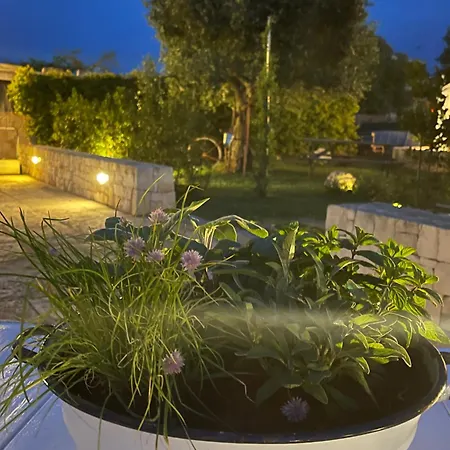 Grano Arso Turistico Cisternino