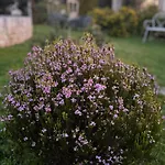 Grano Arso Turistico Holiday home *