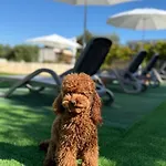 Grano Arso Turistico * تْشيستيرنِنو