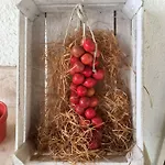 Grano Arso Turistico Semesterbostad