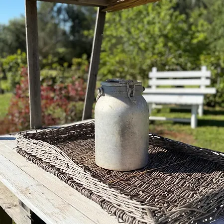 بيت للعطل Grano Arso Turistico تْشيستيرنِنو