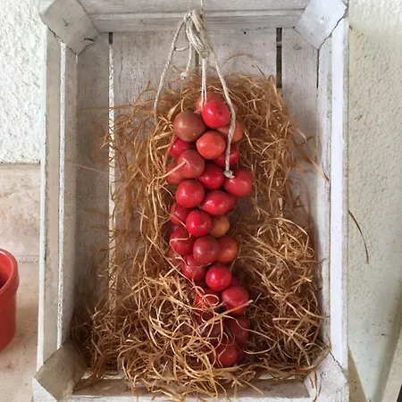 Grano Arso Turistico 別荘