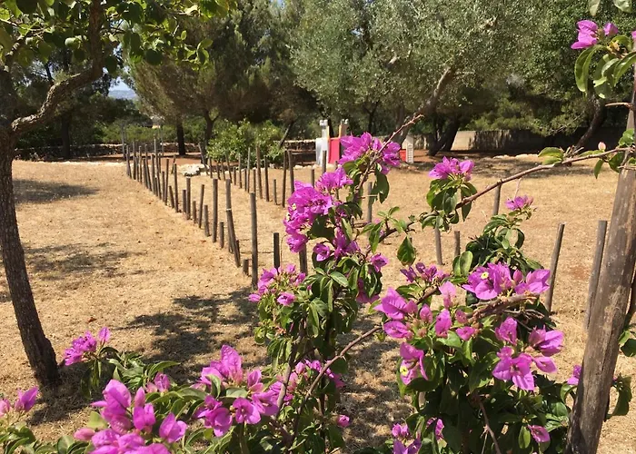 Casa vacanze Grano Arso Turistico *